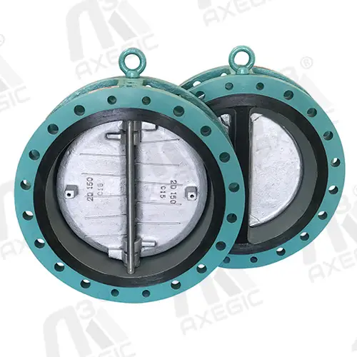 Dual plate check valve ahmedabad