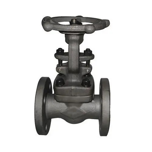 forged gate valve
