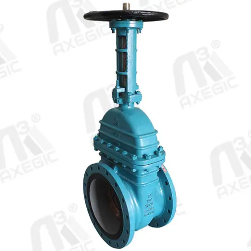 Gate Valve Manufacturer Supplier