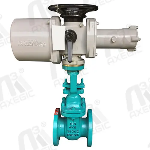 Gate Valve Manufacturer In Gujarat