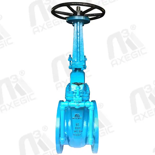 Gate Valve Manufacturer In Ahmedabad