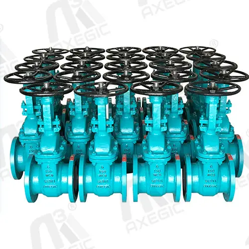 Gate Valve Supplier In India