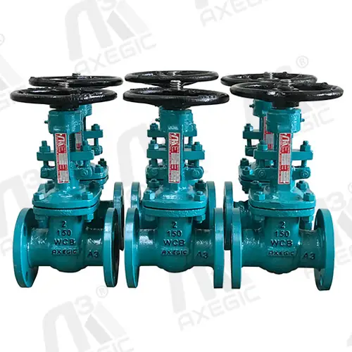Gate Valve Supplier In Ahmedabad