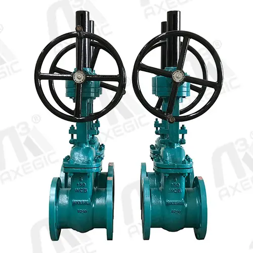 Gate Valve Supplier in Gujarat
