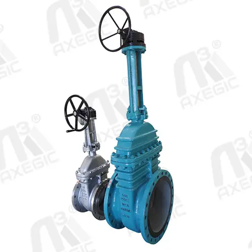 gate valve