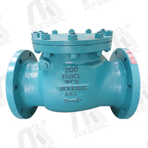 Non Return Valve Manufacturer